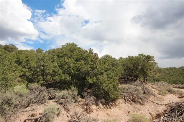 LOT 2157 San Isabel Road Fort Garland, CO 81133