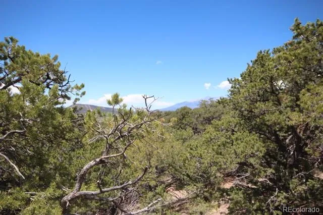 LOT 2157 San Isabel Road Fort Garland, CO 81133