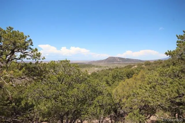 LOT 2157 San Isabel Road Fort Garland, CO 81133