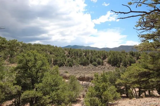 LOT 2157 San Isabel Road Fort Garland, CO 81133