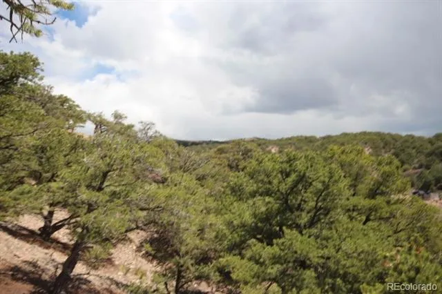 LOT 2157 San Isabel Road Fort Garland, CO 81133