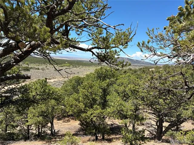 LOT 2157 San Isabel Road Fort Garland, CO 81133