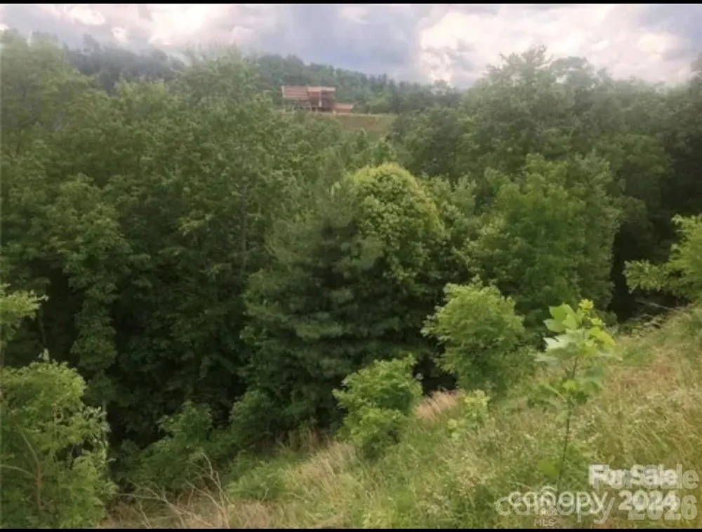 000 Roca Vista Drive #533 Lenoir, NC 28645