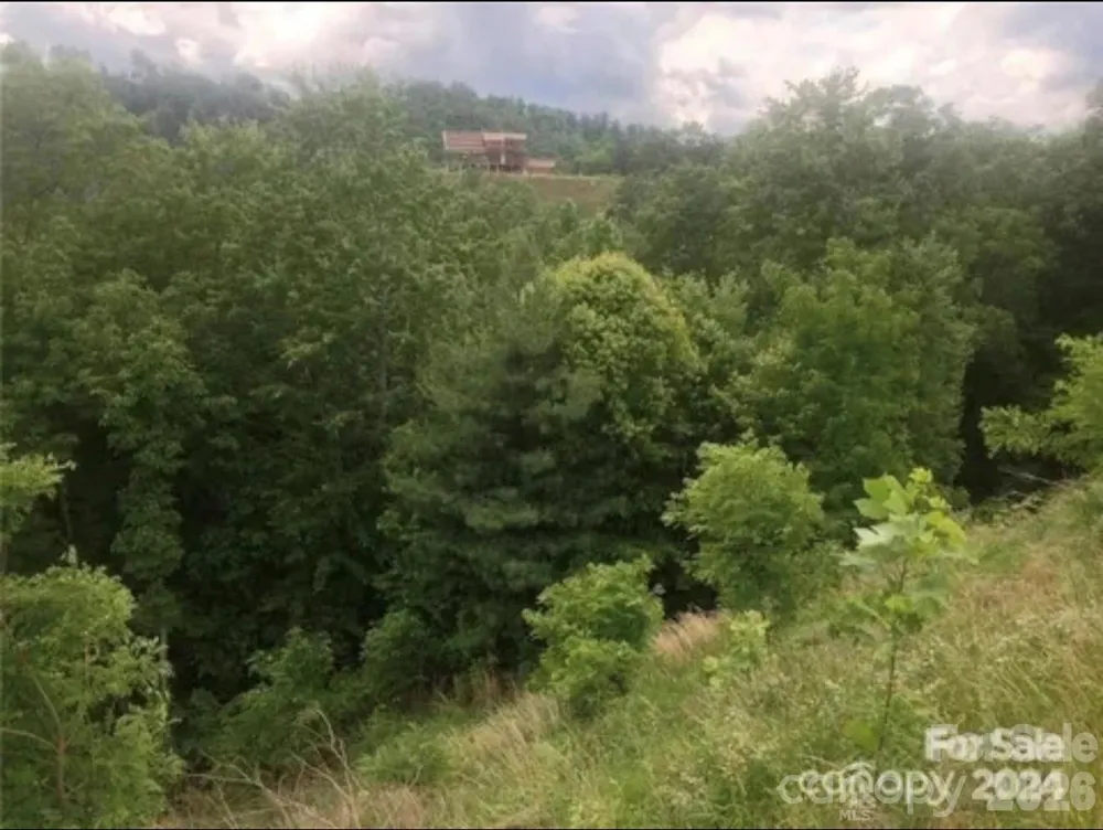 000 Roca Vista Drive #533 Lenoir, NC 28645