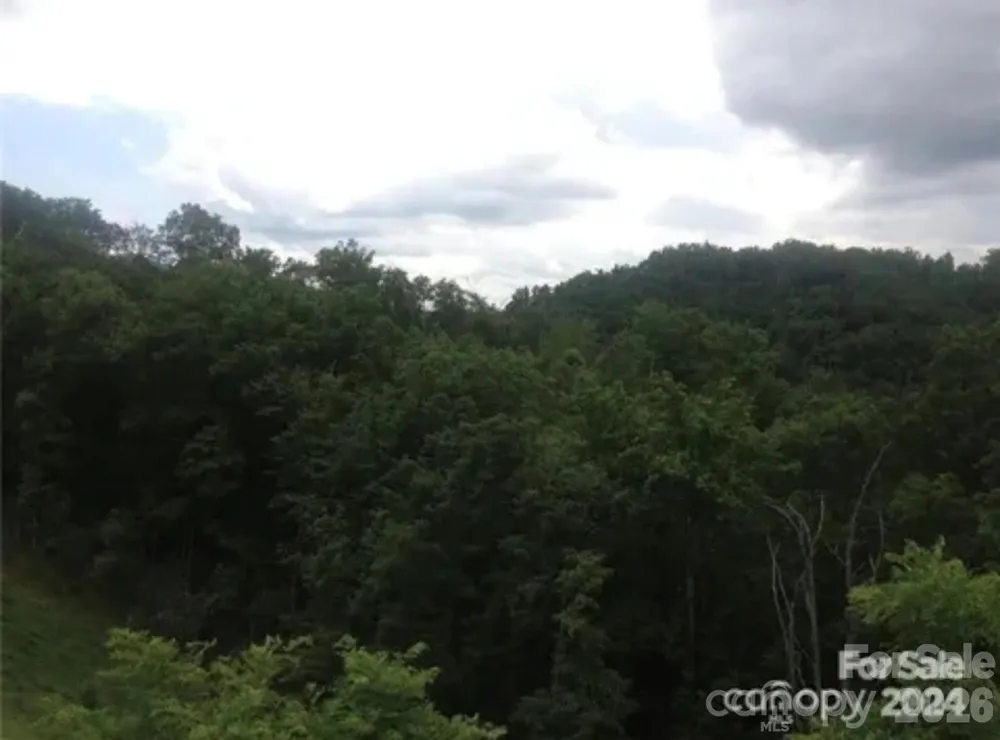 000 Roca Vista Drive #533 Lenoir, NC 28645