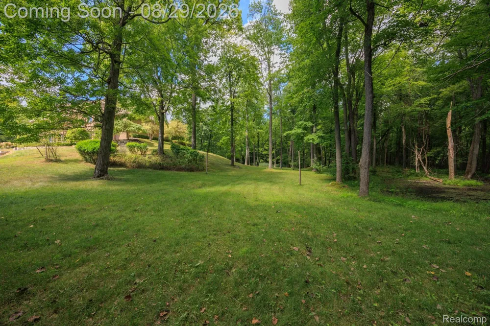 2550 Birch Grove Court Addison Township, MI 48370