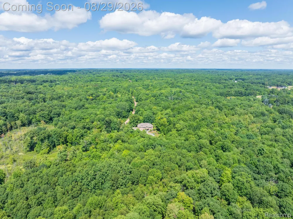 2550 Birch Grove Court Addison Township, MI 48370