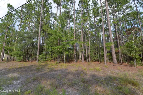 873 & 881 Eden Drive