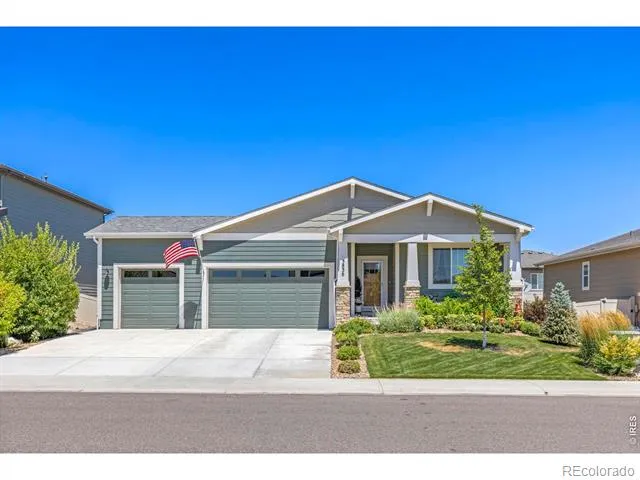 3836 Sweetgum Street Wellington, CO 80549