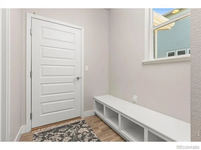 3836 Sweetgum Street Wellington, CO 80549