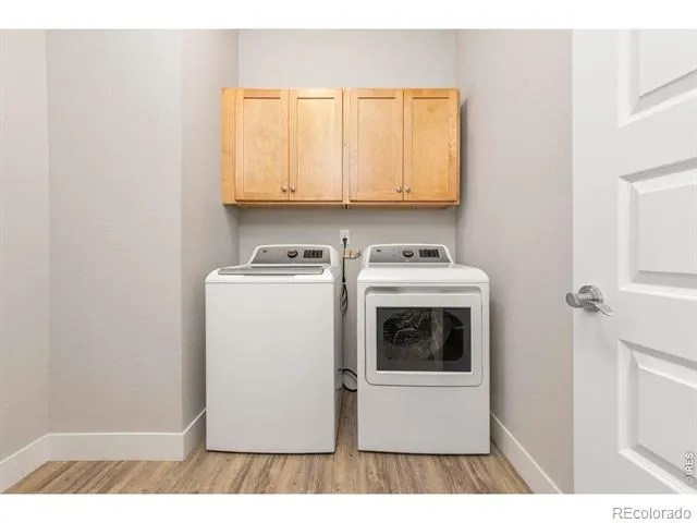 3836 Sweetgum Street Wellington, CO 80549