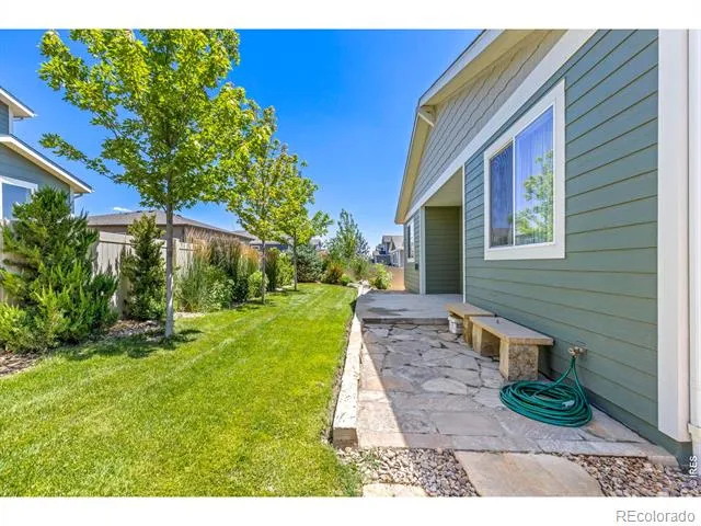 3836 Sweetgum Street Wellington, CO 80549
