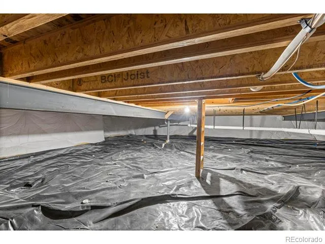 3836 Sweetgum Street Wellington, CO 80549