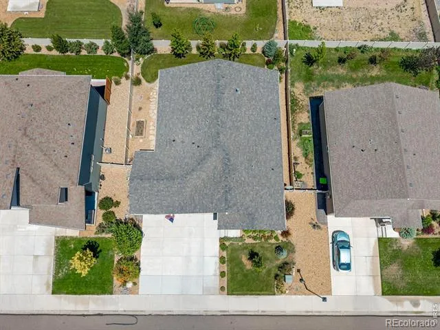 3836 Sweetgum Street Wellington, CO 80549