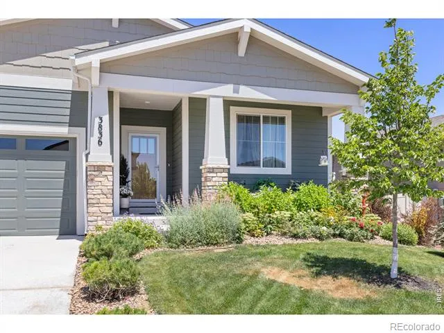 3836 Sweetgum Street Wellington, CO 80549