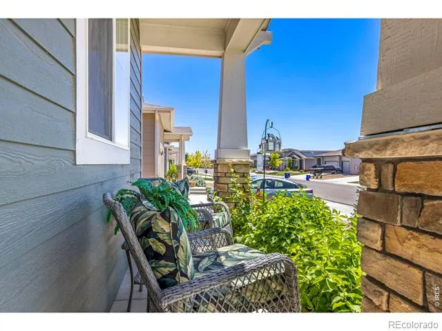 3836 Sweetgum Street Wellington, CO 80549