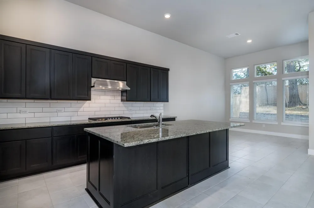 1723 Divino Pass Conroe, TX 77304