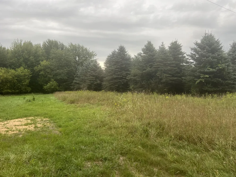 13532 S Mcclelland Avenue Grant, MI 49327