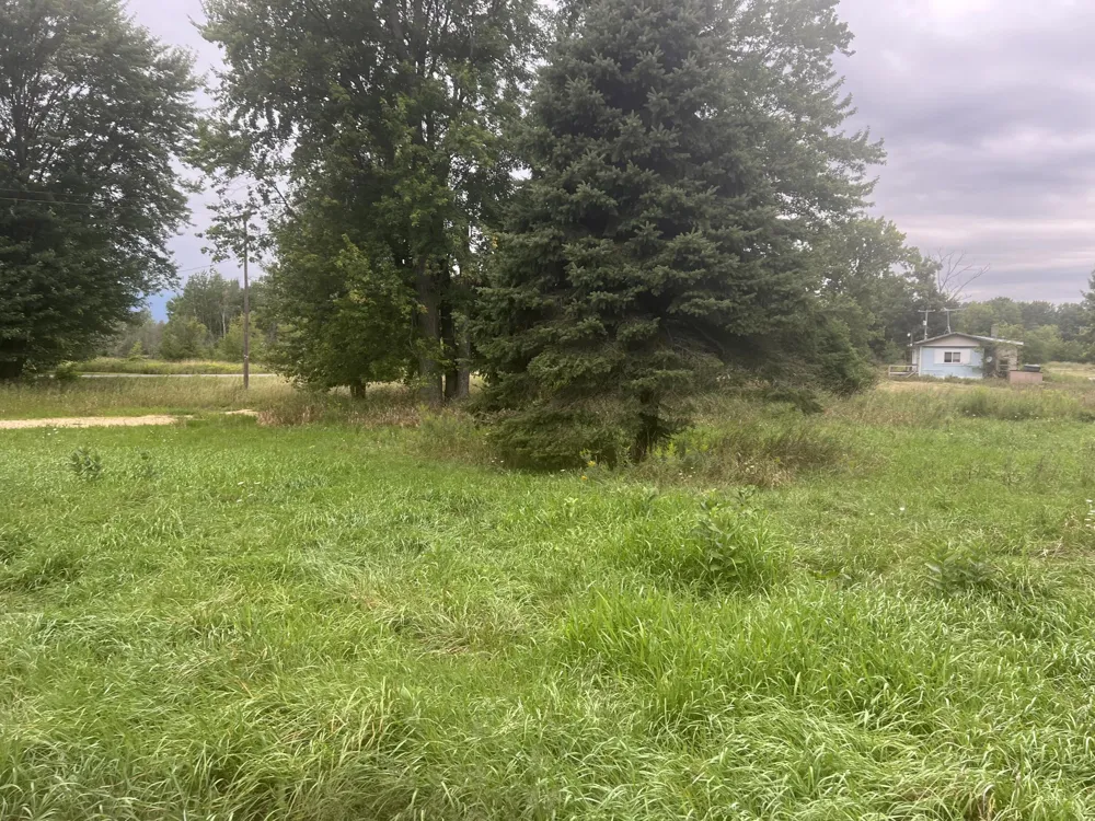13532 S Mcclelland Avenue Grant, MI 49327