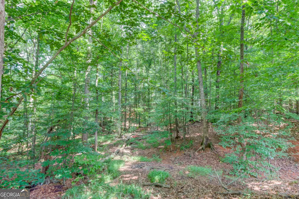 12 Chatham CT Jefferson, GA 30549