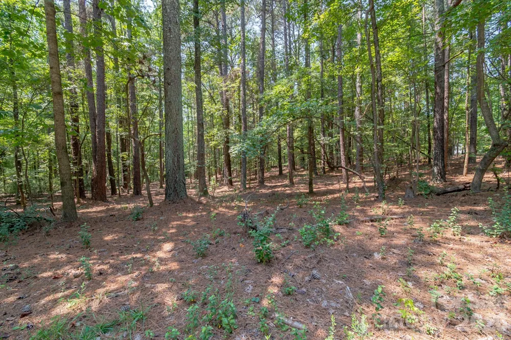 5316 Rehobeth Road Waxhaw, NC 28173