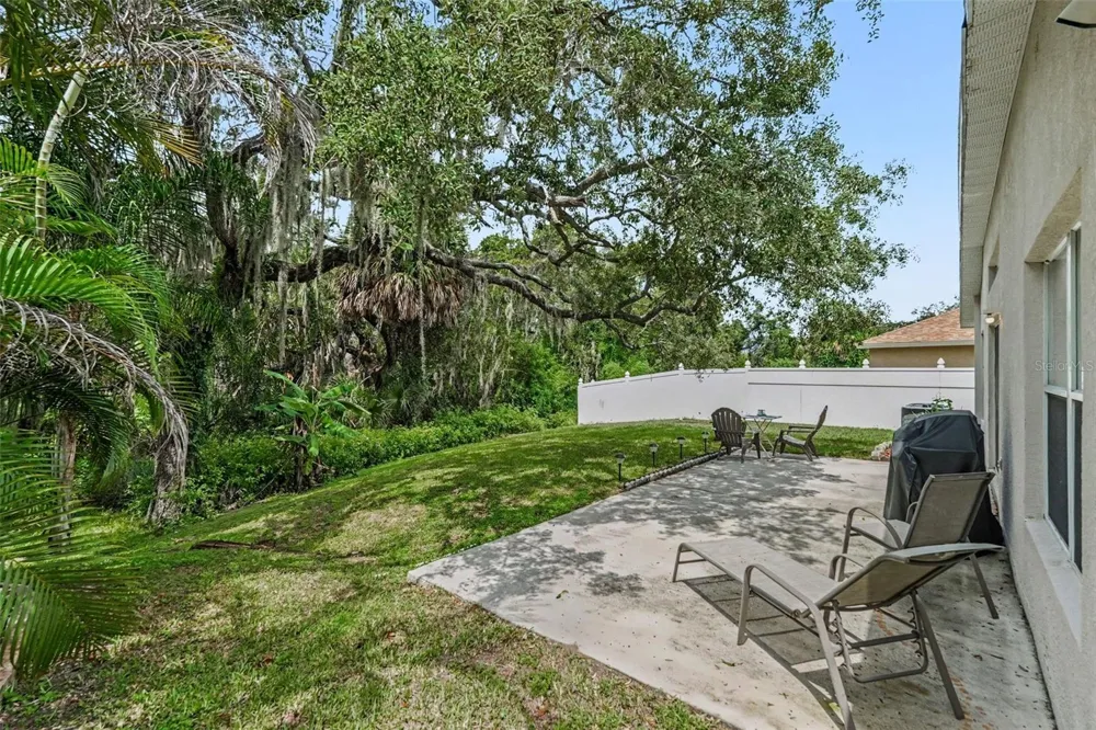 13102 EARLY RUN LANE Riverview, FL 33578