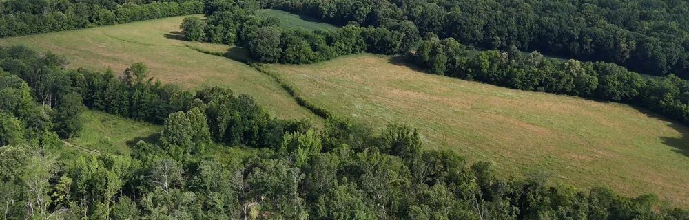 11517 Mt Carmel Rd Decaturville, TN 38329