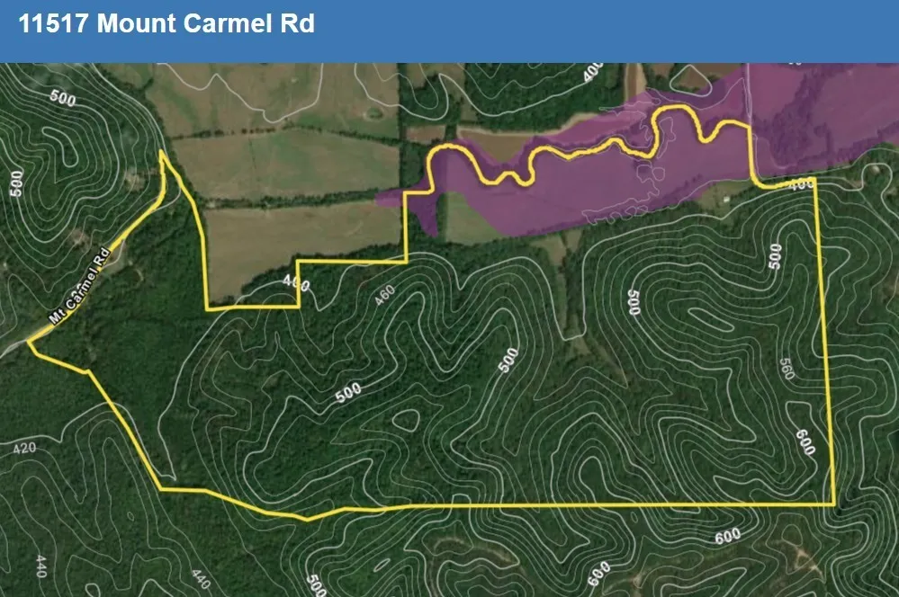 11517 Mt Carmel Rd Decaturville, TN 38329