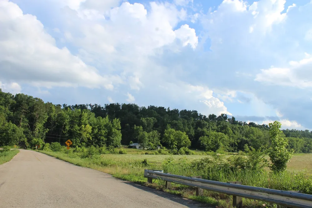11517 Mt Carmel Rd Decaturville, TN 38329