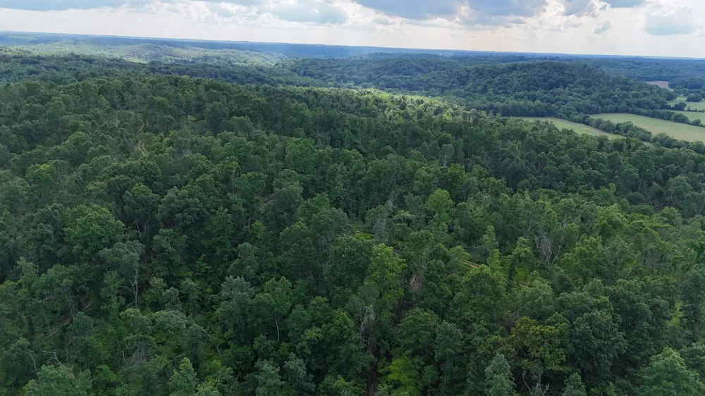 11517 Mt Carmel Rd Decaturville, TN 38329