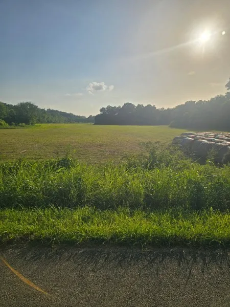 11517 Mt Carmel Rd Decaturville, TN 38329