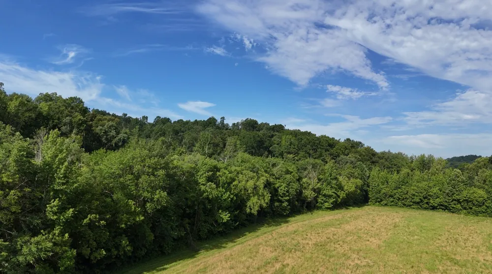 11517 Mt Carmel Rd Decaturville, TN 38329