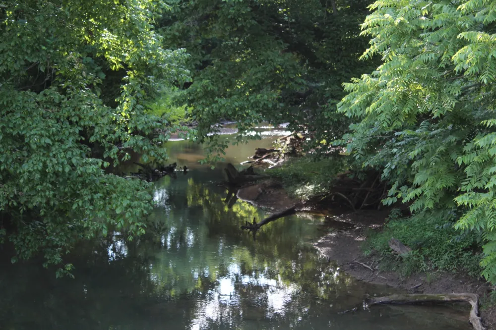 11517 Mt Carmel Rd Decaturville, TN 38329