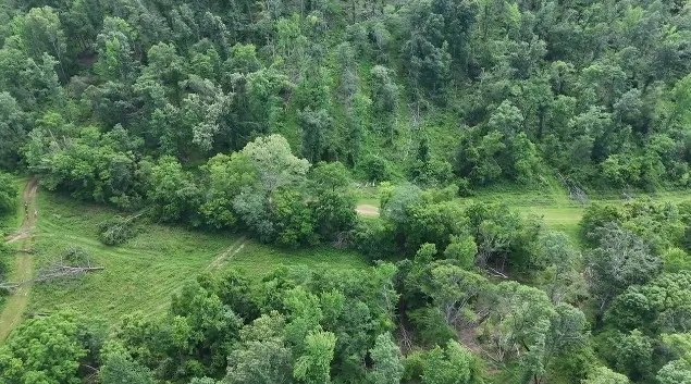 11517 Mt Carmel Rd Decaturville, TN 38329
