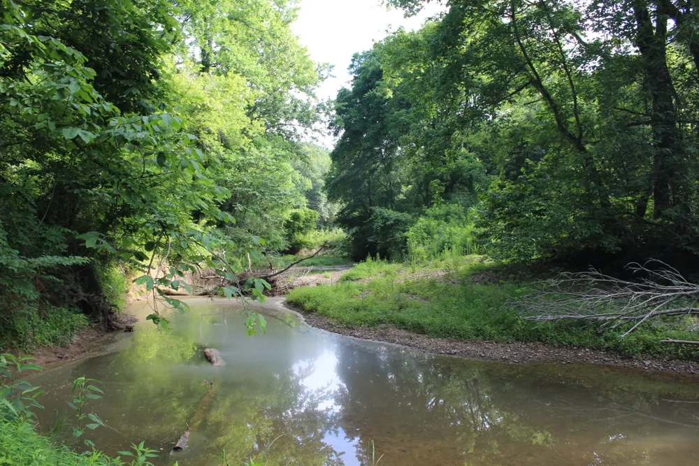 11517 Mt Carmel Rd Decaturville, TN 38329
