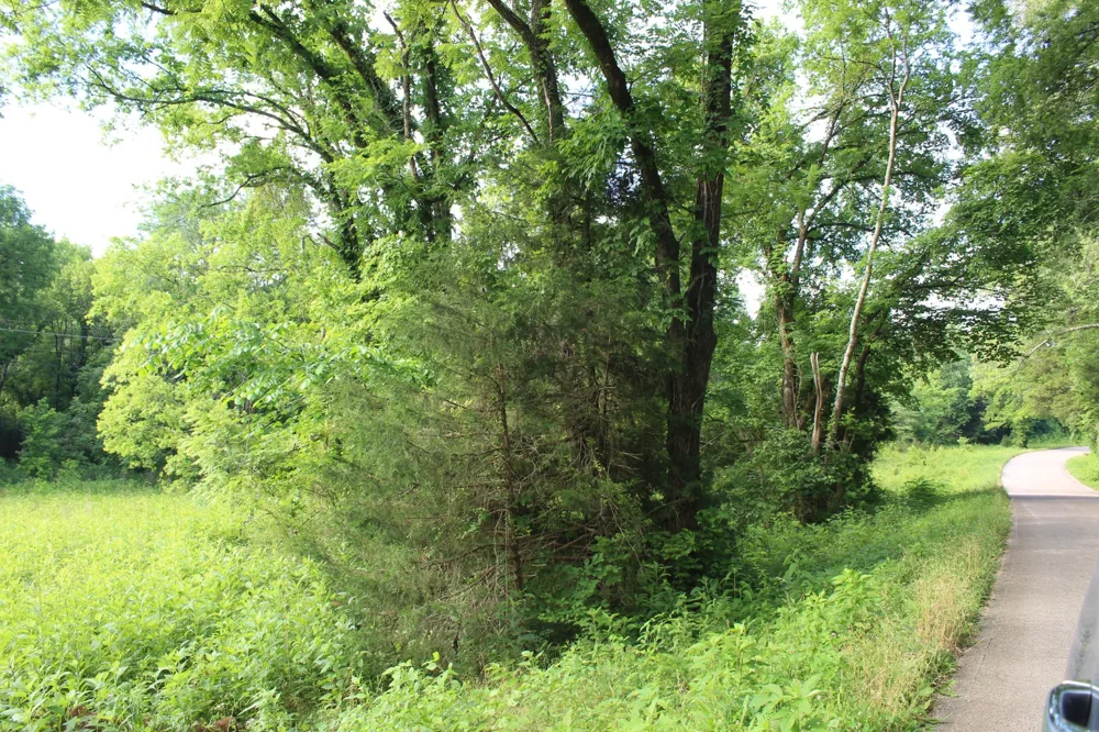 11517 Mt Carmel Rd Decaturville, TN 38329