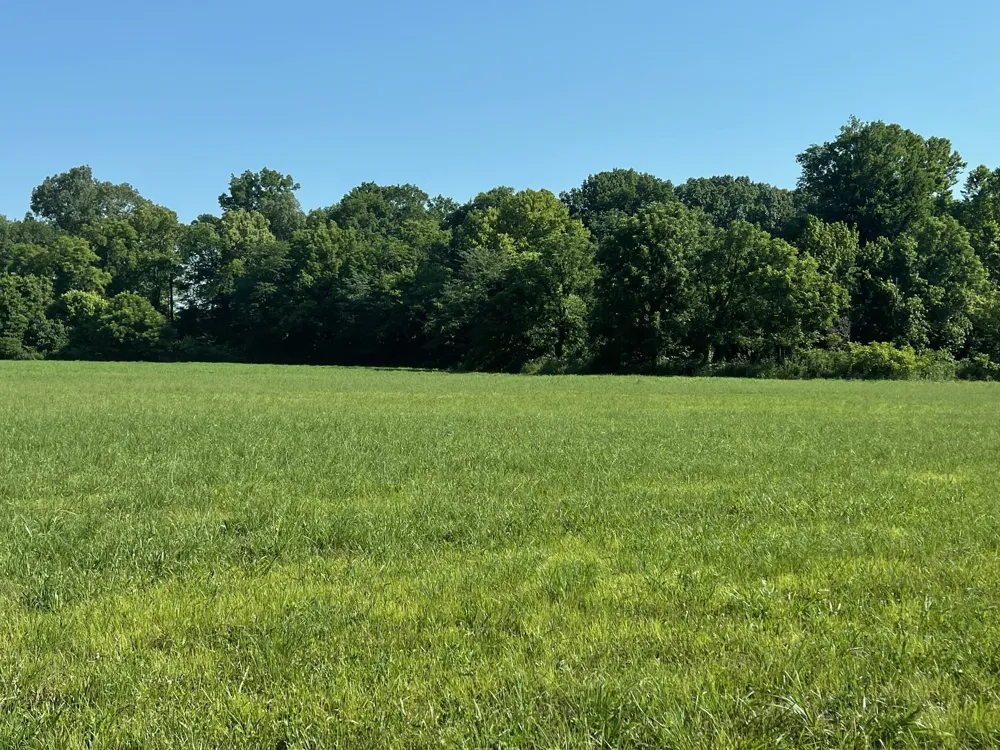 11517 Mt Carmel Rd Decaturville, TN 38329