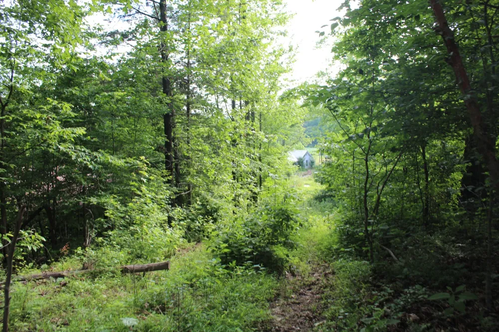 11517 Mt Carmel Rd Decaturville, TN 38329