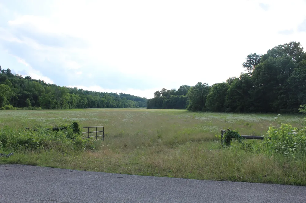 11517 Mt Carmel Rd Decaturville, TN 38329