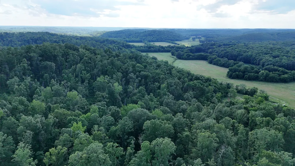 11517 Mt Carmel Rd Decaturville, TN 38329
