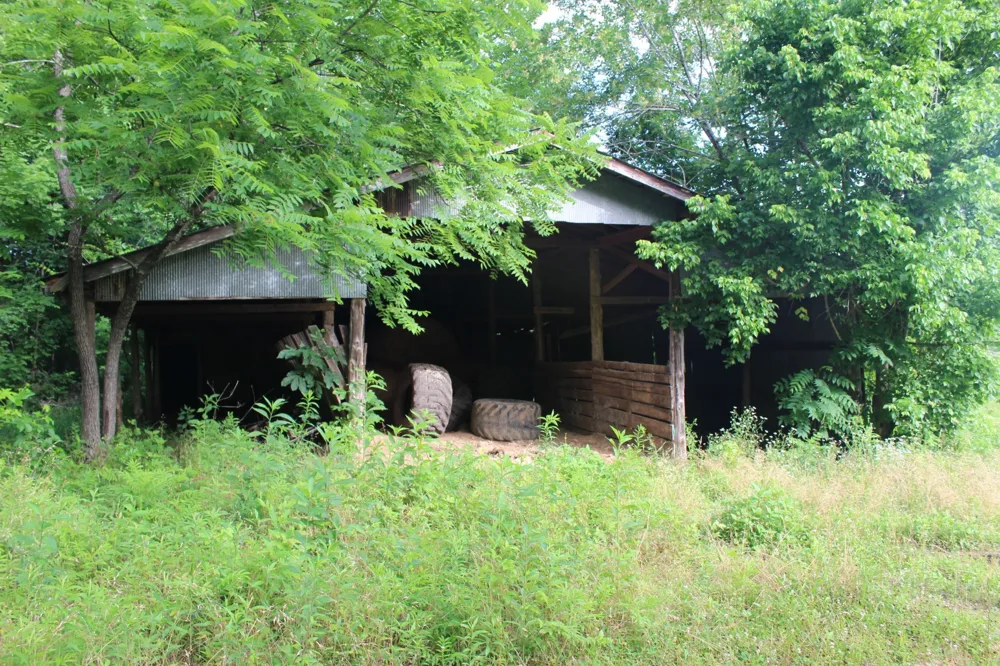 11517 Mt Carmel Rd Decaturville, TN 38329