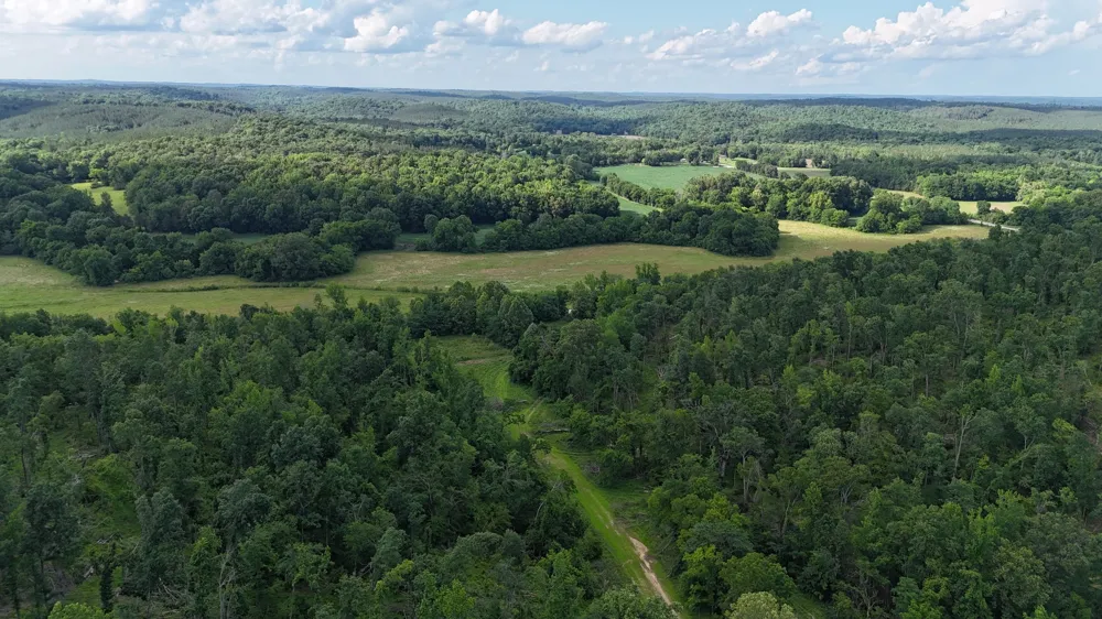 11517 Mt Carmel Rd Decaturville, TN 38329