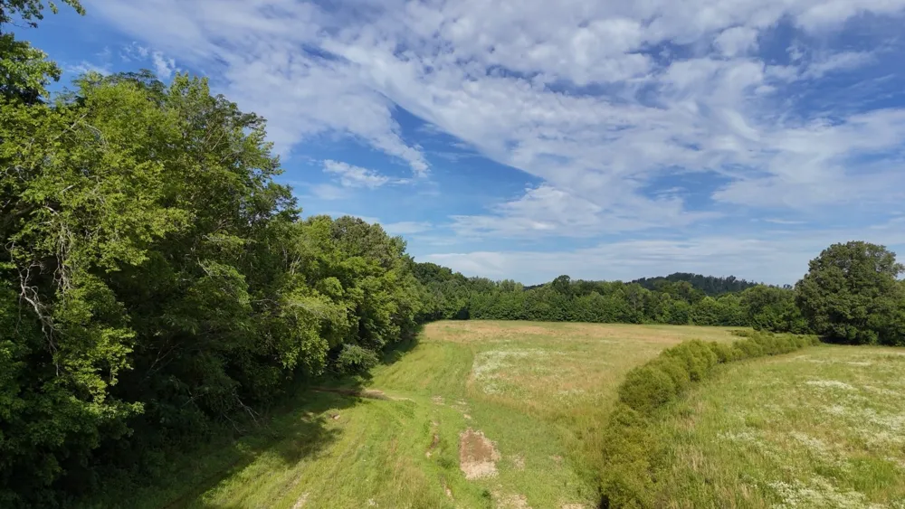 11517 Mt Carmel Rd Decaturville, TN 38329