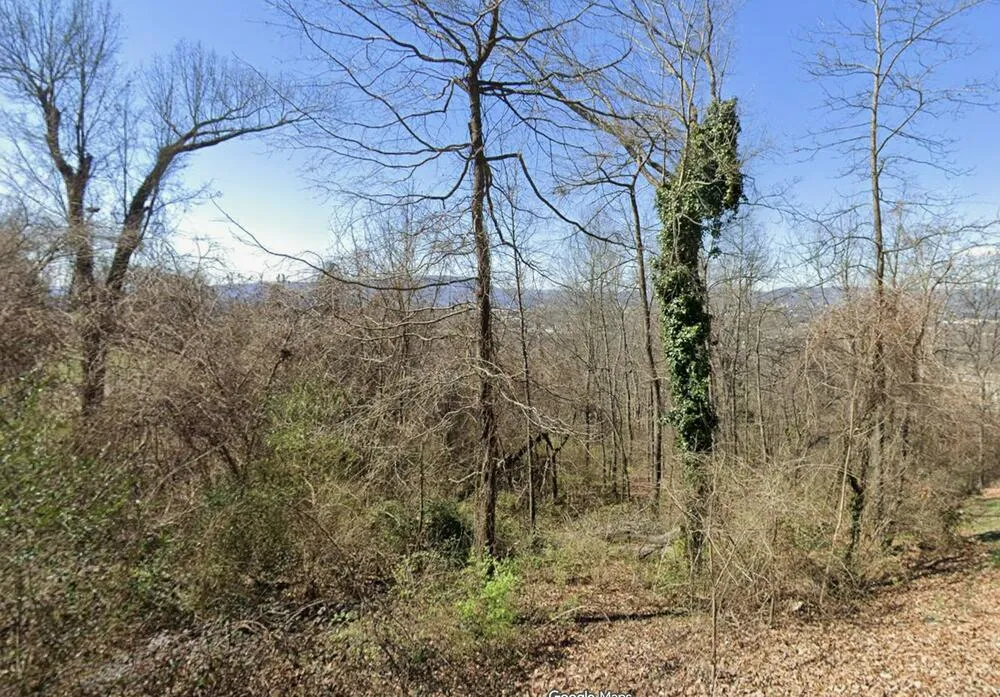 319 Mission Crest Lane Chattanooga, TN 37404
