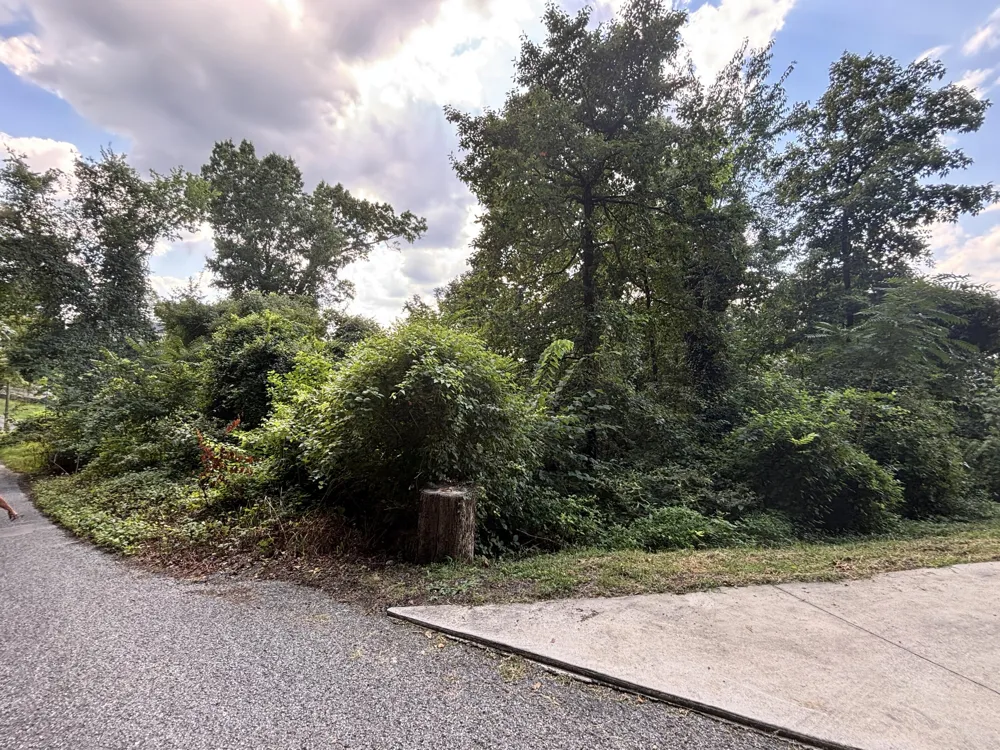 319 Mission Crest Lane Chattanooga, TN 37404