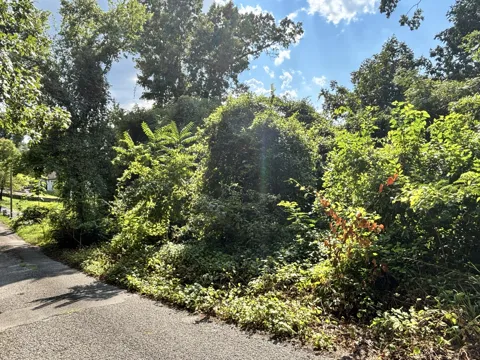 319 Mission Crest Lane