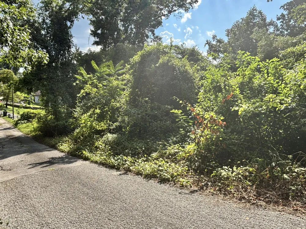 319 Mission Crest Lane Chattanooga, TN 37404
