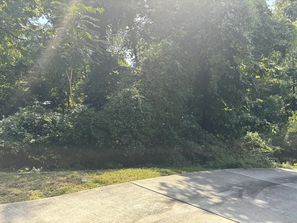 319 Mission Crest Lane Chattanooga, TN 37404