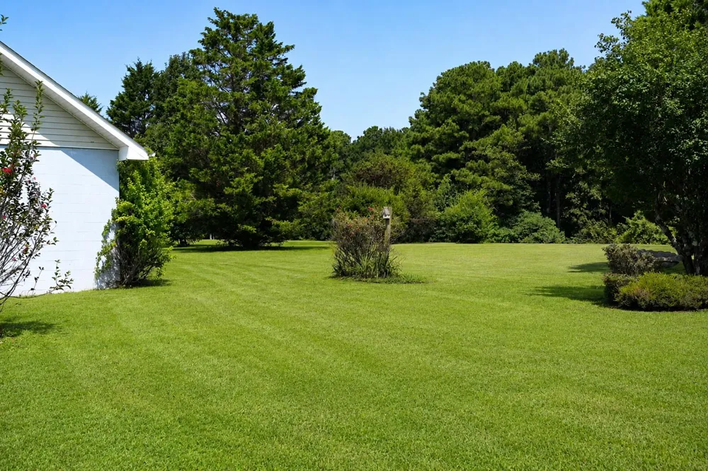 586 Sunset Drive Ider, AL 35981