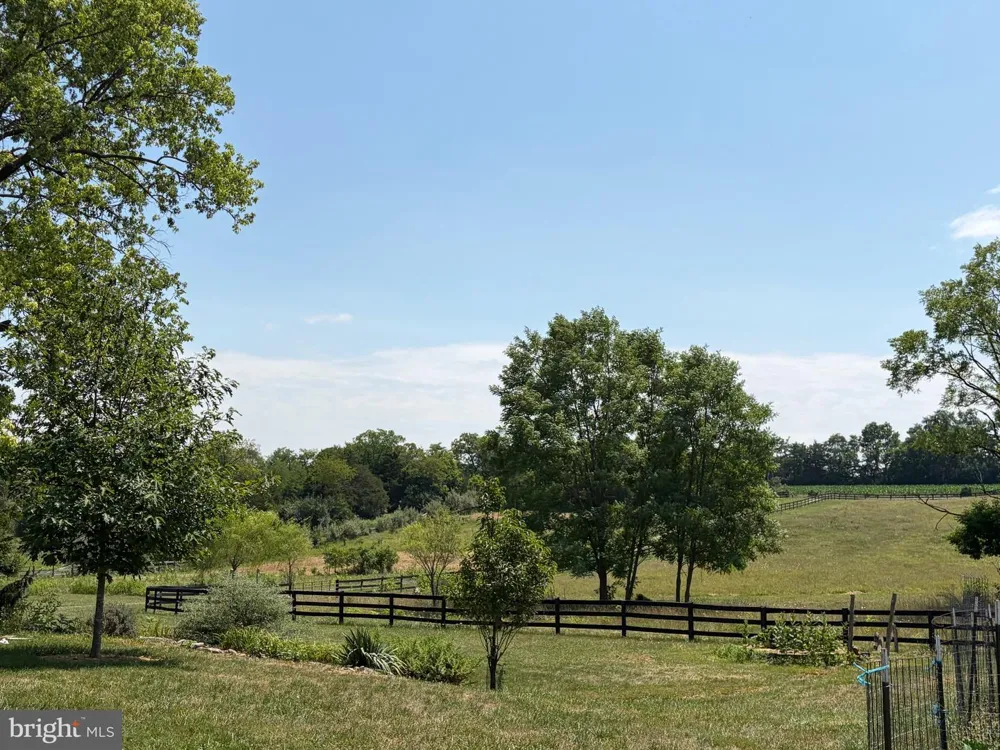 936 GUN BARREL RD White Post, VA 22663